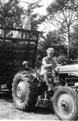 Bringing in the hay